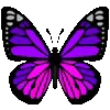 🦋