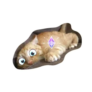 😱 кот, котенок, смешной, эфириум, крипто, мультфильм, питомец, животное telegram sticker