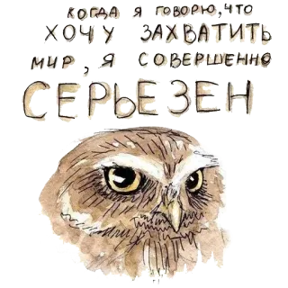 🐣 Когда я говорю, что хочу захватить мир, я совершенно серьезен hibou, oiseau, animal, drôle, sérieux, texte, aquarelle telegram sticker