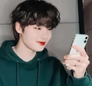 🦊 garçon, homme, personne, selfie, téléphone, décontracté, sweat à capuche whatsapp sticker