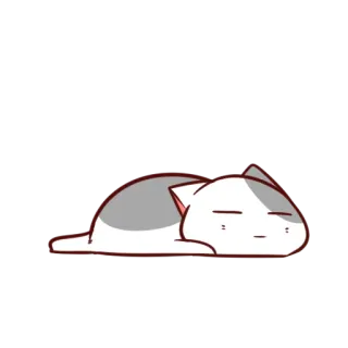 💤 gato, fofo, preguiçoso, sonolento, animal telegram sticker