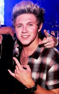 🤘 Niall Horan Niall Horan, One Direction, cantante, celebridad, estrella pop, camisa de franela telegram sticker