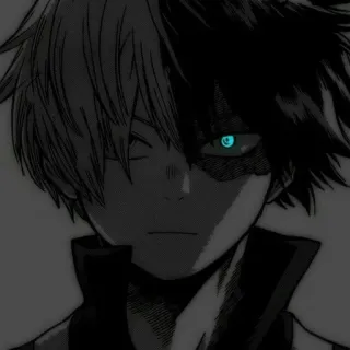 🖤 Shoto Todoroki My Hero Academia Shoto Todoroki, My Hero Academia, Anime, Manga, Supereroe, Metà e Metà telegram sticker