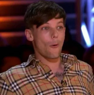 😱 Louis Tomlinson 有名人, 歌手, ポートレート, 男性, 人 telegram sticker