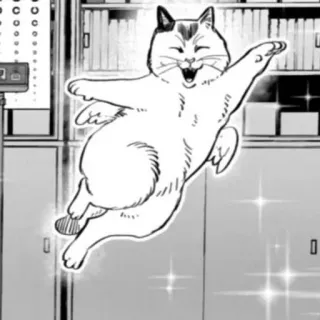 🖤 gato, alas, volando, dibujos animados, animal, lindo, manga whatsapp sticker