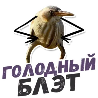 🍔 ГОЛОДНЫЙ БЛЯТ 鸟, 贴纸, 搞笑, 卡通, 饥饿 telegram sticker