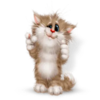 👉 gato, gatinho, fofo, animal, desenho animado whatsapp sticker