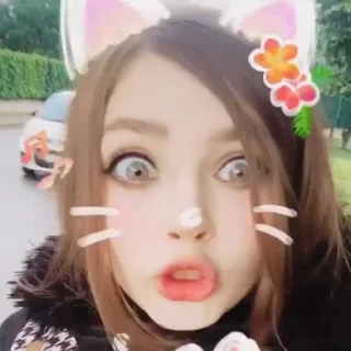 😳 oreilles de chat, fleur, maquillage, selfie, filtre telegram sticker