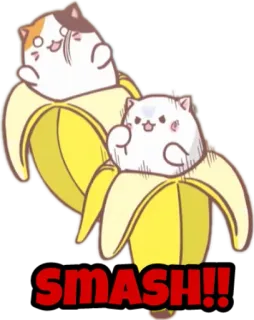 🤜 SMASH!! 고양이, 바나나, 만화, 카와이, 스매쉬 telegram sticker