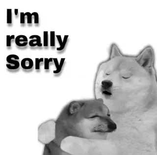 😂 I'm really Sorry doge, lo siento, meme, perro, disculpa telegram sticker