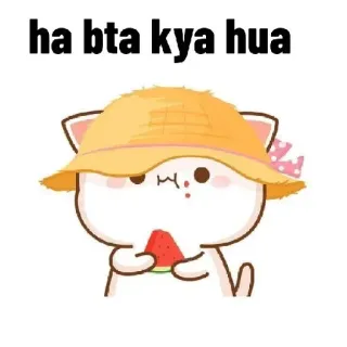 🧐 ha bta kya hua 猫, スイカ, 帽子, 可愛い, 動物, 漫画 whatsapp sticker