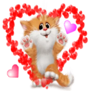 💝 gato, gatinho, coração, fofo, animal, desenho animado, adesivo whatsapp sticker