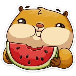 🍉 Hamster, Wassermelone, Süß, Tier, Essen, Sticker telegram sticker