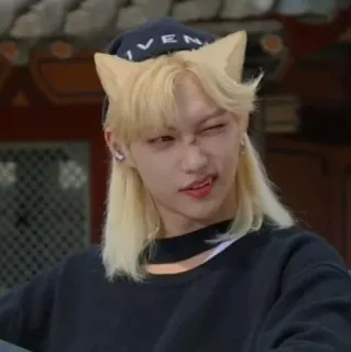 🖤 Felix K-pop, Idol, Penyanyi, Stray Kids, Felix, Idol Kpop, Telinga kucing, Idol telegram sticker