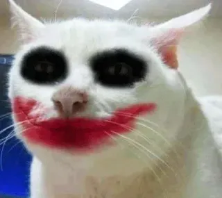 🤡 Joker 고양이, 조커, 메이크업, 광대, 애완 동물, 동물, 웃긴 telegram sticker