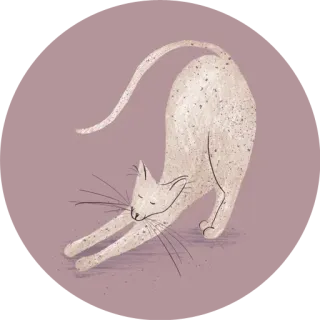 👲 gato, animal, alongamento, fofo, doméstico, ilustração, animal de estimação whatsapp sticker