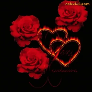 🎈 orkuteti.com roses, coeurs, brûlant, amour, feu telegram sticker
