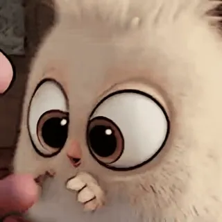 🎈 pássaro, fofo, desenho animado, animal whatsapp sticker