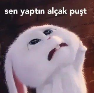 😤 sen yaptın alçak puşt 토끼, 슬픔, 화남, 모욕, 밈 whatsapp sticker
