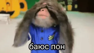 😨 баюсь пон Affe, niedlich, Tier, russisch, Text telegram sticker