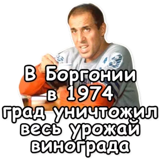 ☕ В Боргонии в 1974 град уничтожил весь урожай винограда telegram sticker