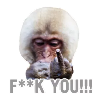 😡 F**K YOU!!! scimmia, dito medio, offensivo, insultante, maleducato telegram sticker