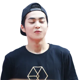 😣 personne, kpop, homme, chapeau, t-shirt noir, portrait telegram sticker
