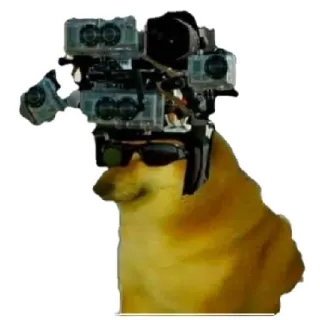 😁 chien, mème, Cheems, Doge, lunettes de soleil, appareil photo telegram sticker