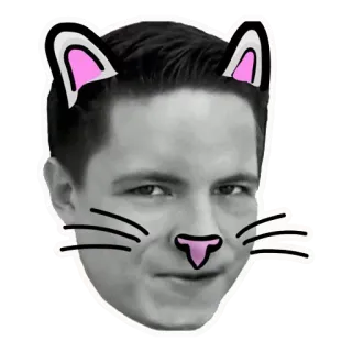 🐱 猫耳, 自撮り, 顔フィルター, デジタルステッカー, ポートレート, 男性 telegram sticker