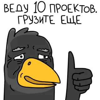 😫 ВЕДУ 10 ПРОЕКТОВ. ГРУЗИТЕ ЕЩЕ crow, bird, projects, work, cartoon whatsapp sticker