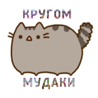 😫 КРУГОМ МУДАКИ кот, стикер, русский, оскорбление whatsapp sticker