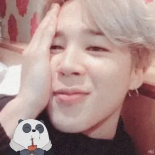 🌷 persona, kpop, selfie, lindo, panda, animal, bebiendo whatsapp sticker
