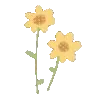 🌼