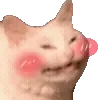 🐈
