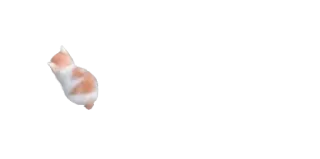 ☹️ gato, animal, animal de estimação, meme telegram sticker
