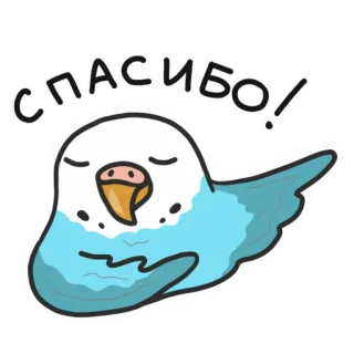 🙌 СПАСИБО! 鸟, 可爱, 谢谢, 谢谢, 鹦鹉, 蓝色, 动物 telegram sticker