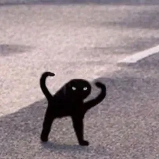 🤨 cat, black cat, standing cat, meme, animal, funny, dark, pet telegram sticker