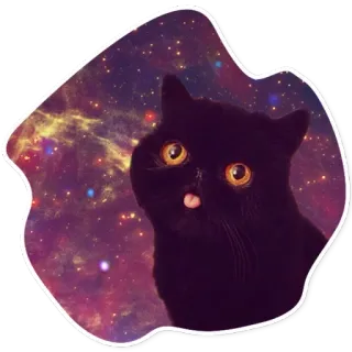 🌑 แมว, กาแล็กซี, ลิ้น, แมวดำ, อวกาศ, ตลก, สัตว์ telegram sticker