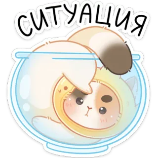 😐 СИТУАЦИЯ gato, pecera, lindo, animal, situación, ruso whatsapp sticker
