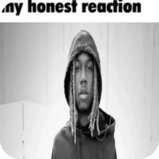😐 my honest reaction Meme, Reaksi, Jujur, Potret, Hoodie telegram sticker