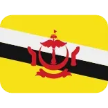 🇧🇳