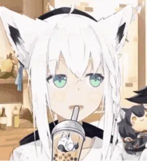 🥤 Shirakami Fubuki Anime Mädchen, Vtuber, Tierohren, Weißes Haar, Trinken, Bubble Tea telegram sticker
