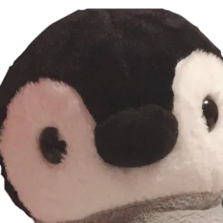 🐧 penguin, stuffed animal, toy, cute, animal, bird telegram sticker