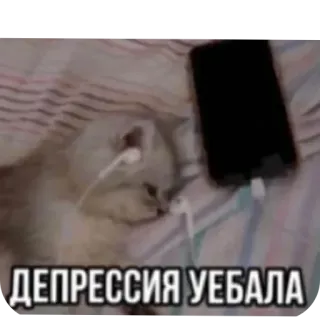 Больше стиков тут: @stikery4 telegram stickers