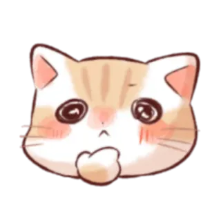 🤔 кот, милый, стикер, мультфильм, эмодзи, животное whatsapp sticker