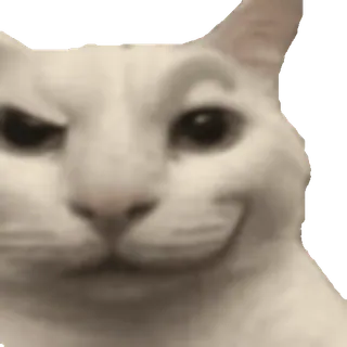 😼