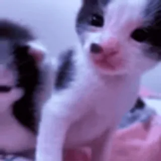 🙂