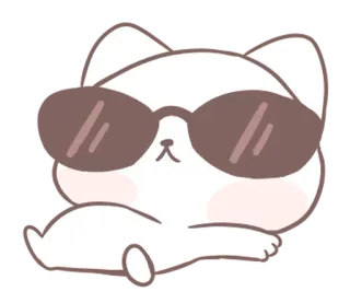 ⭐ 猫, 太阳镜, 酷, 可爱, 动物 whatsapp sticker