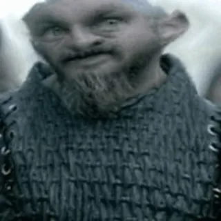 😐 man, beard, portrait, serious, viking telegram sticker