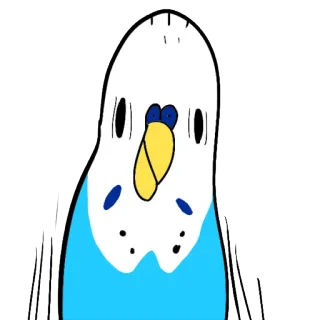 😮 burung, parkit, parkit, lucu, hewan telegram sticker